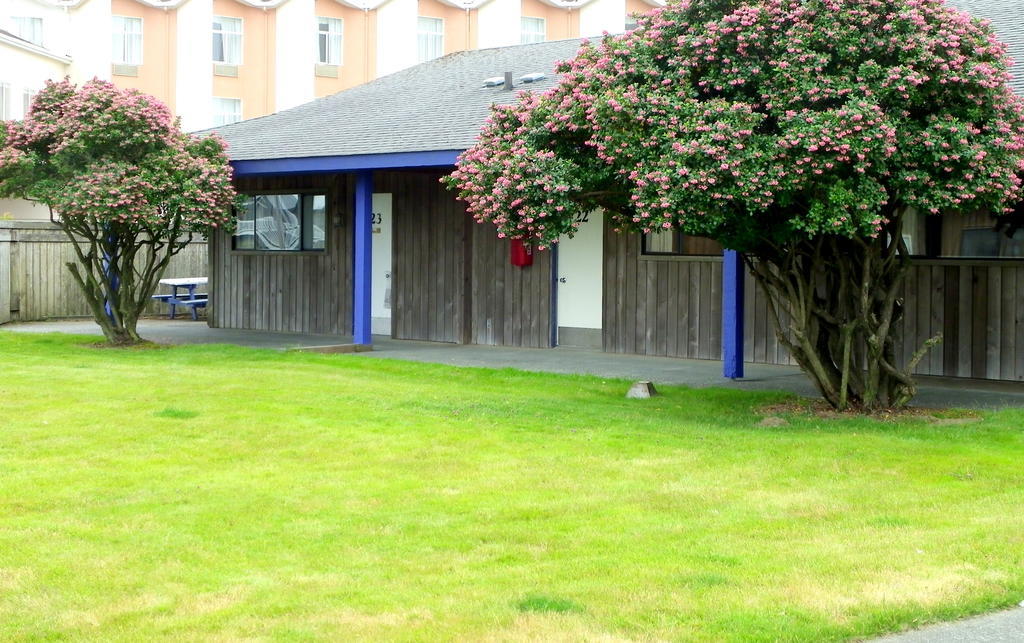Weatherly Suites Ocean Shores Exteriér fotografie